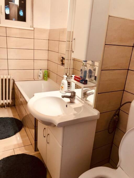 Nice Apt Near Spitalul Judetean, All You Need Lr14 Timişoara Exterior foto