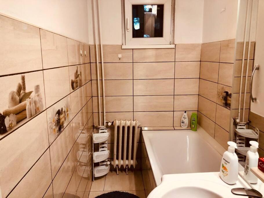 Nice Apt Near Spitalul Judetean, All You Need Lr14 Timişoara Exterior foto